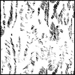 Print